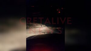 Επεισοδιακή νύχτα: ΤΑΕ Ρεθύμνου εναντίον ζωοκλεφτών - Δείτε φωτογραφίες από το σημείο