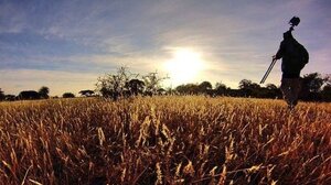 Politico: «Αγρότες» υπεξαίρεσαν εκατομμύρια ευρώ - Οι περισσότερες απάτες στην Κρήτη