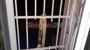 Αίγιο: Ιερόσυλοι "χτύπησαν" τη νύχτα στην Παναγία Τρυπητή