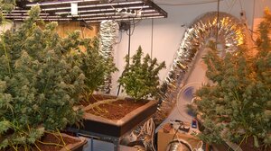 Υδροπονική καλλιέργεια κάνναβης σε βίλα! - Δείτε φωτογραφίες