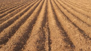 Ενημερωτική ημερίδα για την αναγεννητική γεωργία