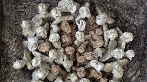 «Ιδανικές Φωνές»: Έκθεση του Κωνσταντίνου Παγωμένου στη Δημοτική Πινακοθήκη Μαλεβιζίου