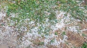 Το ΚΚΕ Λασιθίου για τις ζημιές που προκλήθηκαν από την πρόσφατη κακοκαιρία