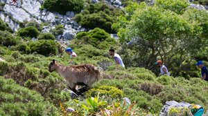 Kronio Festival: Αγώνες δρόμου για τη διάσωση ενός ιστορικού σπηλαίου! Βίντεο και φωτογραφίες