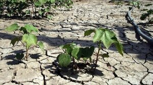 «Κλείνει η κάνουλα» για τη Σέριφο: Το νερό φτάνει για δεκαπέντε ημέρες