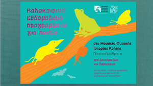 Καλοκαιρινά προγράμματα για παιδιά στο Μουσείο Φυσικής Ιστορίας