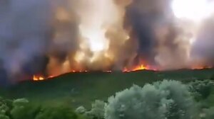 Αχαΐα: Περισσότερα από 30.000 στρέμματα έγιναν στάχτη μέσα σε 12 ώρες – Δείτε τον χάρτη