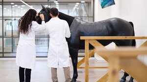 Ανοίγει τις πύλες της η υπερσύγχρονη Κτηνιατρική Σχολή του Ευρωπαϊκού Πανεπιστήμιου Κύπρου