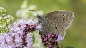 Μήνυμα του Δημάρχου Σητείας για την Παγκόσμια Ημέρα Περιβάλλοντος