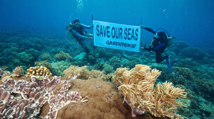Υλοποίηση των δεσμεύσεων για την προστασία των θαλασσών ζητούν από τον πρωθυπουργό 9 οργανώσεις