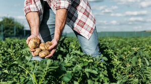 Έλλειψη εργατικών χεριών: Μία ανάσα πριν τη διακρατική συμφωνία με την Ινδία