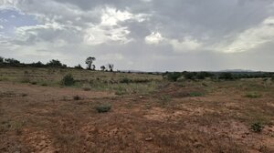 Η αύξηση της θερμοκρασίας φέρνει ... φτώχεια!