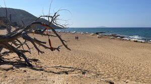 Εξαφάνιση στην Γαύδο: Αναζητούν τον Nills!