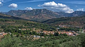 Μαύρο πουκάμισο, τραμπουκισμοί, καταπατήσεις, μαντιναδάκια και επιδοτήσεις 