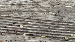 H πλατεία Κορνάρου χρειάζεται άμεση παρέμβαση για τον καθαρισμό της