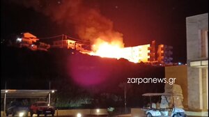 Νυχτερινή φωτιά στο Σταλό – Άμεση επέμβαση της Πυροσβεστικής - Βίντεο