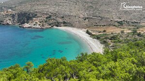 Χίος: Η παραλία με τα γαλαζοπράσινα νερά και τα πεύκα μέχρι της θάλασσα