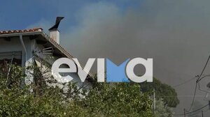 Πυροσβεστική: 45 αγροτοδασικές πυρκαγιές το τελευταίο 24ωρο σε όλη τη χώρα 