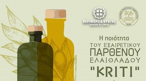 Η ποιότητα του εξαιρετικού παρθένου ελαιόλαδου “Kriti” αντικείμενο σύσκεψης στον Δήμο Βιάννου