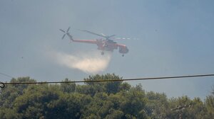 Φωτιά σε δασική έκταση στη Ρόδο – Συναγερμός στην Πυροσβεστική