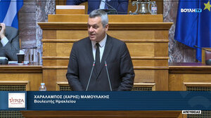 Ελεύθερες μετεγγραφές στα ΑΕΙ για τα παιδιά πολύτεκνων οικογενειών ζητάει ο Χάρης Μαμουλάκης