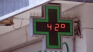 Καύσωνας και ευπαθείς ομάδες: Συμβουλές από τον πρύτανη του ΕΚΠΑ