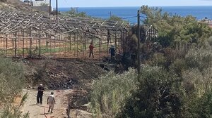 Μεγάλη η κινητοποίηση της πυροσβεστικής για τη φωτιά στο παλιό θερμοκήπιο