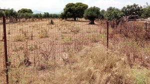 Χανιά: Τι θα γίνει με τους καθαρισμούς σε οικόπεδα ενόψει της αντιπυρικής περιόδου