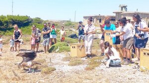 Απελευθερώθηκαν ο "Κώστας", ο "Παναγιώτης" και ο "Χρήστος"!