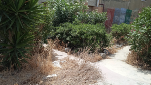 "Ακούμε για αναβαθμίσεις της περιοχής αλλά υποφέρουμε από τις ακαθαρσίες"