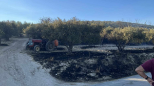 Φωτιά στα Άνω Άκρια: Πρώτα σημάδια αισιοδιοξίας 