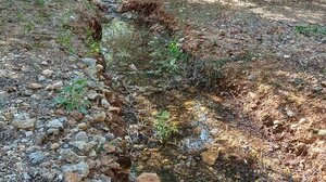 Το νερό που χάνεται και οι... παρεμβάσεις στη φύση