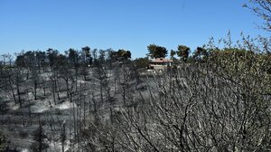 "Κύμα" αλληλεγγύης για τους πυρόπληκτους από τους δήμους της Αττικής