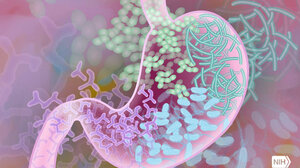 Πώς το μικροβίωμα του εντέρου συνδέεται με τον εθισμό στο φαγητό