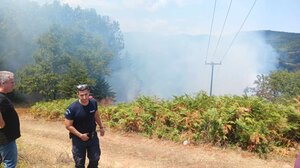 Υπό έλεγχο η πυρκαγιά στη Λίμνη Πλαστήρα