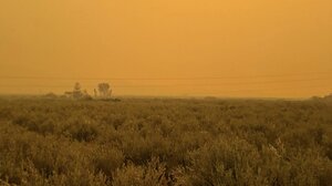 Φωτιά στο Ρέθυμνο: "Πνίγονται" από τον καπνό περιοχές στο Ηράκλειο