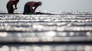 "Καμπανάκι" για τους εργάτες γης - Τι λέει ο Αγροτικός Σύλλογος Ιεράπετρας