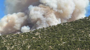 Μεγάλη πυρκαγιά στον Παλαμπά Θεσπρωτίας – Ήχησε το 112