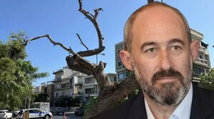 Ηράκλειο: Ελεύθερος ο Αντιδήμαρχος μετά τη μήνυση για την κοπή του δέντρου - "Η δημοτική αρχή προχωρεί"