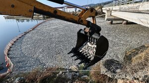 Kυβερνητικό κλιμάκιο στον Βόλο για ενημέρωση στο πρόβλημα με τα νεκρά ψάρια