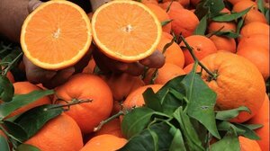 Το Νο1 φρούτο που βελτιώνει την ψυχική υγεία!