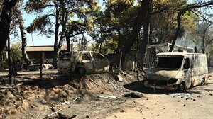 Στάχτες και αποκαΐδια: Αυτοψία στις καμένες εκτάσεις της Πεντέλης