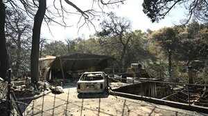 Πυρκαγιά στην Αττική: Στο πλαίσιο της κρατικής αρωγής εντάσσονται οι αγροτικές εκμεταλλεύσεις 