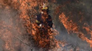 Εμπρησμοί στην Νέα Μάκρη: Συνελήφθη ορθοπεδικός, που εμφανίζεται στην τηλεόραση