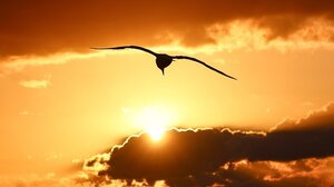 Καιρός: Άνοδος της θερμοκρασίας έως το Σάββατο - Πότε αναμένεται κορύφωση