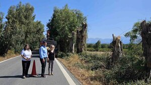 Αυτοψία του Αντιπεριφερειάρχη Ηρακλείου σε έργο κλαδοκοπών στο επαρχιακό οδικό δίκτυο