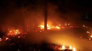 Επτά νεκροί από πυρκαγιές στην Πορτογαλία – Στάχτη περισσότερα από 100.000 στρέμματα δάσους