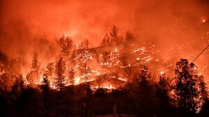 Φωτιά στην Κορινθία: Μαρτυρία για τους δύο νεκρούς - «Κάηκαν ενώ προσπαθούσαν να βοηθήσουν»