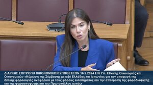 Ελένη Βατσινά για την σύμβαση Ελλάδας - Ιαπωνίας: Κάποια στιγμή να δούμε και την επίδραση στην Οικονομία