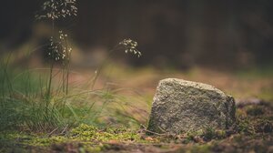 Είχαν μέρες να τον δουν, τελικά βρέθηκε νεκρός